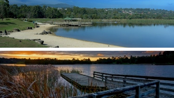 Lilydale Lake walk collage.